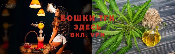 крисы Алексин