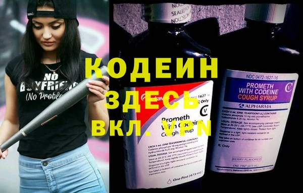 хмурый Алексеевка