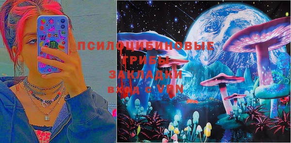 хмурый Алексеевка