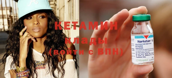 крисы Алексин